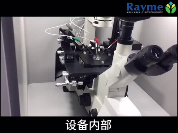 江苏瑞明  实时单细胞多模态分析仪 Ray-pro