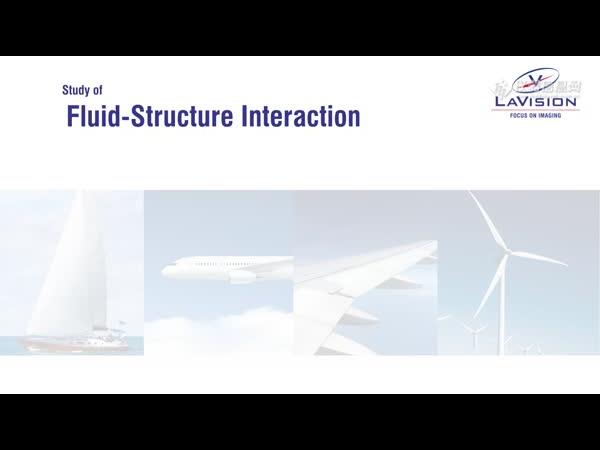 FSI 流体结构相互作用测量分析系统